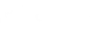 Carbon GPT